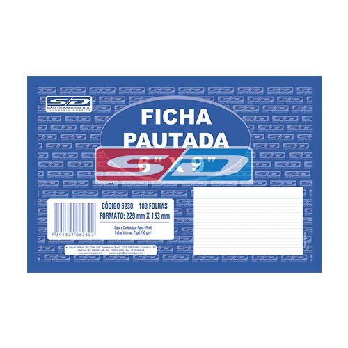 Ficha Pautada 6X9  com 100 – SÃO DOMINGOS