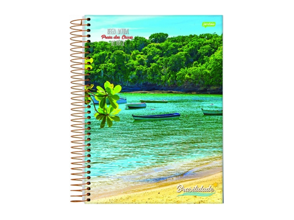 Caderno Espiral 1/4 96 Folhas Flexível - BRASILIDADE - Imagem 3