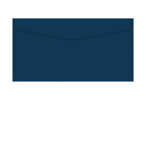 Envelope Retangular Color 114X229 - FORONI
