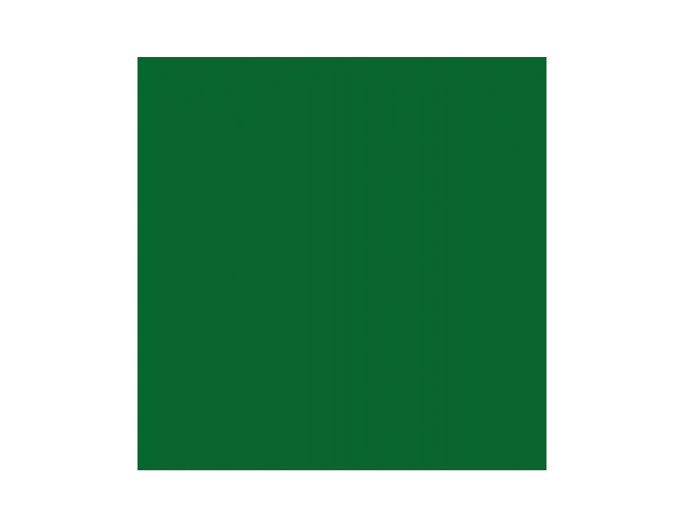 Cartolina Eva Liso 40×60 Verde Bandeira