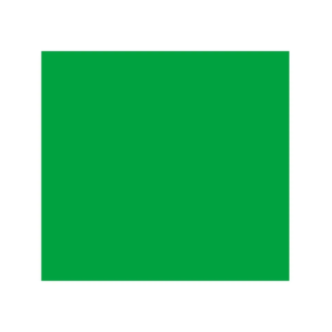 Cartolina EVA 40x60 Liso Verde Folha - BRW